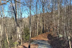 383 Blue Mist Mountain Rd, Whittier, NC 28789 - Photo 31