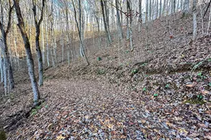 383 Blue Mist Mountain Rd, Whittier, NC 28789 - Photo 39