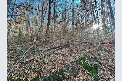 383 Blue Mist Mountain Road, Whittier, NC 28789 - Photo 35