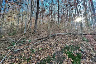 383 Blue Mist Mountain Rd, Whittier, NC 28789 - Photo 35