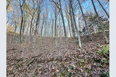 383 Blue Mist Mountain Road, Whittier, NC 28789 - Photo 37