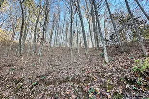 383 Blue Mist Mountain Rd, Whittier, NC 28789 - Photo 37