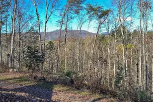 383 Blue Mist Mountain Rd, Whittier, NC 28789 - Photo 33