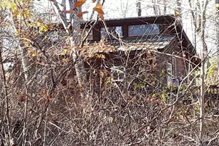 2200 Walnut Creek Rd, Marshall, NC 28753 - Photo 11