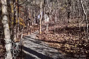 2200 Walnut Creek Rd, Marshall, NC 28753 - Photo 29