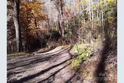 2200 Walnut Creek Road, Marshall, NC 28753 - Photo 15