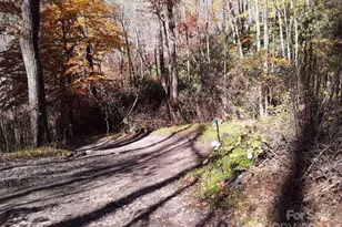 2200 Walnut Creek Rd, Marshall, NC 28753 - Photo 15