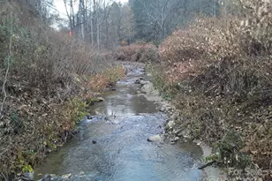 2200 Walnut Creek Rd, Marshall, NC 28753 - Photo 13