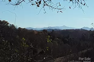 2200 Walnut Creek Rd, Marshall, NC 28753 - Photo 17