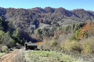 2200 Walnut Creek Rd, Marshall, NC 28753 - Photo 21