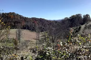 2200 Walnut Creek Rd, Marshall, NC 28753 - Photo 19