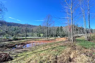 3200 Greenville Hwy, Flat Rock, NC 28731 - Photo 1