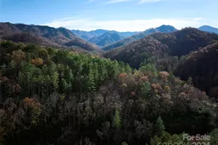 0 Sky Ridge Dr, Bryson City, NC 28713 - Photo 3