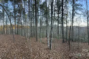 0 Sky Ridge Dr, Bryson City, NC 28713 - Photo 15