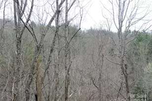 2271 Gouges Creek Rd, Spruce Pine, NC 28777 - Photo 35