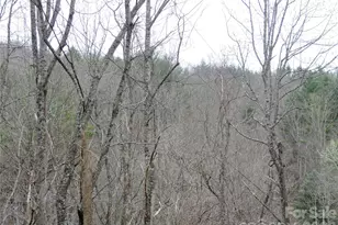 2271 Gouges Creek Rd, Spruce Pine, NC 28777 - Photo 35