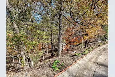 25040 Timberlake Drive, Tega Cay, SC 29708 - Photo 39