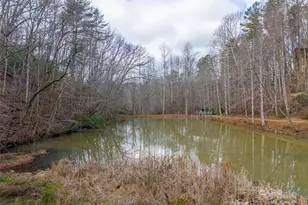 180 Valley Ln, Bryson City, NC 28713 - Photo 43