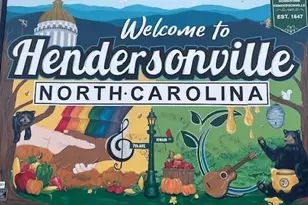 73 Wisdom Cove Rd, Flat Rock, NC 28731 - Photo 41