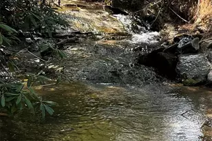 73 Wisdom Cove Rd, Flat Rock, NC 28731 - Photo 37