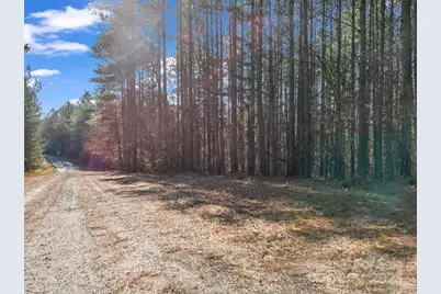 0 Farmer Johns Trail #9, Rutherfordton, NC 28139 - Photo 5