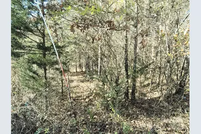 0 Farmer Johns Trail #9, Rutherfordton, NC 28139 - Photo 15