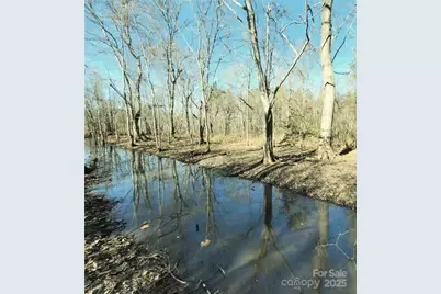 0 Farmer Johns Trail #9, Rutherfordton, NC 28139 - Photo 3