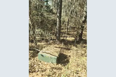 0 Farmer Johns Trail #9, Rutherfordton, NC 28139 - Photo 13