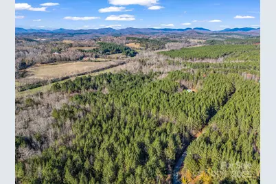 0 Farmer Johns Trail #9, Rutherfordton, NC 28139 - Photo 9