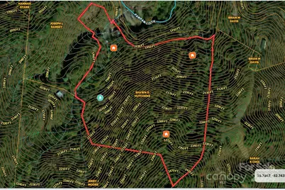 2033 Lower Paw Paw Road, Marshall, NC 28753 - Photo 33