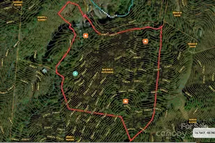 2033 Lower Paw Paw Rd, Marshall, NC 28753 - Photo 33