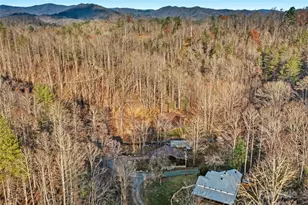 2033 Lower Paw Paw Rd, Marshall, NC 28753 - Photo 29