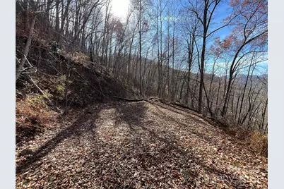 Lot 8 Falls View Drive, Bryson City, NC 28713 - Photo 3