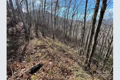 Lot 8 Falls View Drive, Bryson City, NC 28713 - Photo 5