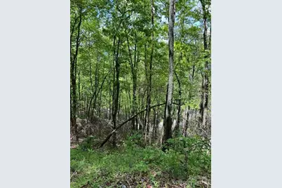 Lot 8 Falls View Drive, Bryson City, NC 28713 - Photo 11