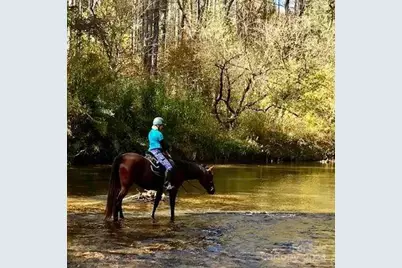 1.3 Acres, Lot 2A, 1362 Round Mountain Parkway #2A, Lenoir, NC 28645 - Photo 45