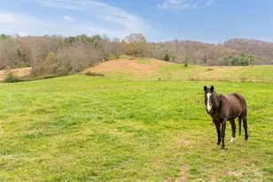 120 & 72 Fordbrook Rd, Asheville, NC 28806 - Photo 11