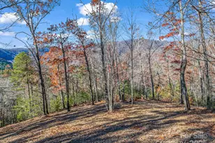 Lot 30 Deep Gap Farm Road E, Mill Spring, NC 28756 - Photo 9