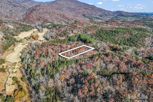 Lot 30 Deep Gap Farm Road E, Mill Spring, NC 28756 - Photo 5