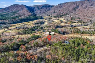 Lot 30 Deep Gap Farm Road E, Mill Spring, NC 28756 - Photo 3