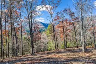 Lot 30 Deep Gap Farm Road E, Mill Spring, NC 28756 - Photo 15