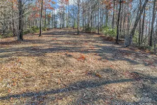 Lot 30 Deep Gap Farm Road E, Mill Spring, NC 28756 - Photo 17