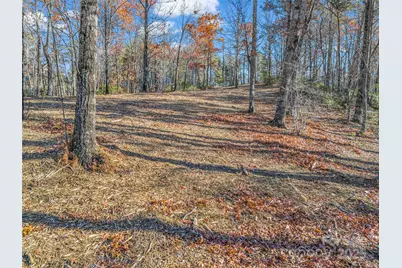Lot 30 Deep Gap Farm Road E, Mill Spring, NC 28756 - Photo 13