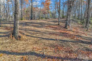 Lot 30 Deep Gap Farm Road E, Mill Spring, NC 28756 - Photo 13