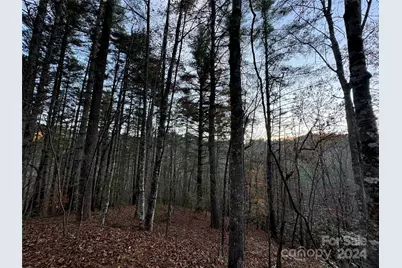 00 Sky Ridge Drive, Bryson City, NC 28713 - Photo 5