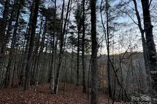 00 Sky Ridge Dr, Bryson City, NC 28713 - Photo 5