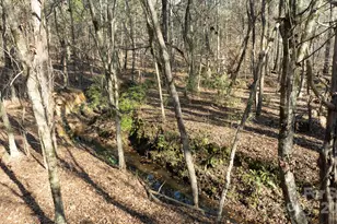 633 Weston Acres Rd, Fort Lawn, SC 29714 - Photo 11