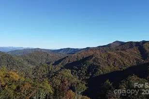 9999 Conleys Creek, Whittier, NC 28789 - Photo 9