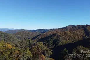 9999 Conleys Creek, Whittier, NC 28789 - Photo 13