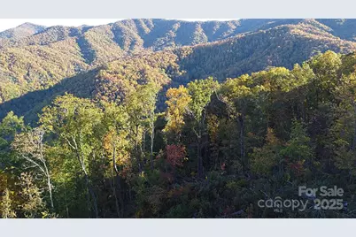 9999 Conleys Creek, Whittier, NC 28789 - Photo 15